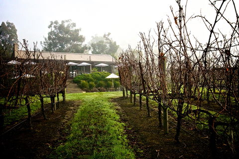 GREENSTONE VINEYARDS - Accommodation Directory 4