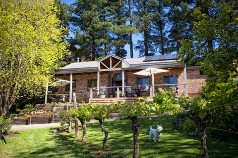 Main Ridge Estate - Accommodation Directory 2