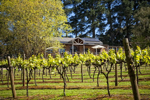 Main Ridge Estate - Accommodation Directory 3