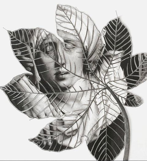 Wollongong Art Gallery - Accommodation Directory 2