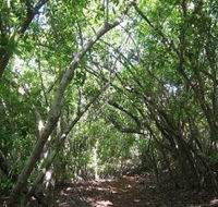 Eucalypt Trail - Accommodation Directory
