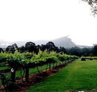 Cambewarra Estate Wines - Accommodation Directory