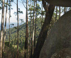 Gulaga National Park - Accommodation Directory 0