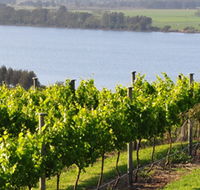 Two Figs Winery - Accommodation Directory