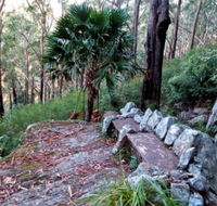 Wodi Wodi Walking Track - Accommodation Directory