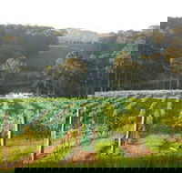 Tilba Valley Wines - Accommodation Directory