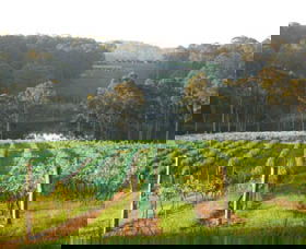 Tilba Valley Wines - Accommodation Directory 0