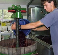 Fern Gully Winery - Accommodation Directory