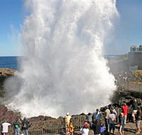 Kiama Blowhole - Accommodation Directory
