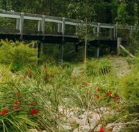 Eurobodalla Botanic Gardens - Accommodation Directory