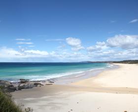 Beach Art Gallery - Accommodation Directory 0