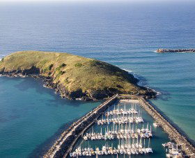 Muttonbird Island Nature Reserve - Accommodation Directory 0