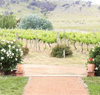 Brindabella Hills Winery - Accommodation Directory