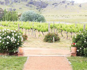 Brindabella Hills Winery - Accommodation Directory 0