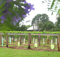 Douglas Vale Historic Homestead  Vineyard - Accommodation Directory