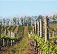 Philip Shaw Wines - Accommodation Directory
