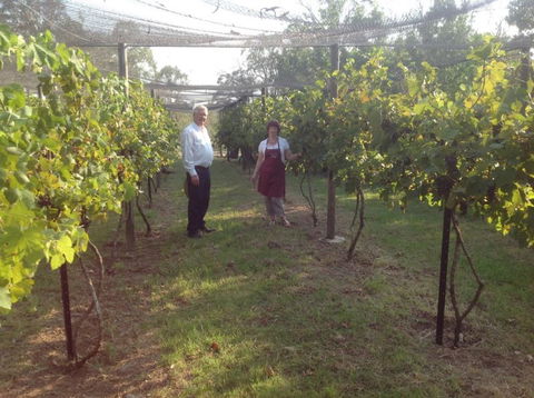 Holland Wines - Accommodation Directory 8