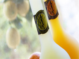 Ambra Limoncello - Accommodation Directory 0