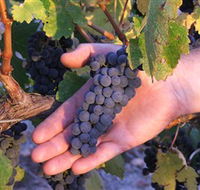 Eagles Rise Wine - Accommodation Directory