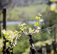 Galli Estate Winery - Accommodation Directory