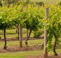 Mt Coghill Vineyard - Accommodation Directory