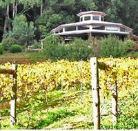 Peveril Vineyard/Beechy Berries - Accommodation Directory