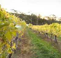 Harcourt Valley Vineyards - Accommodation Directory
