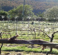 Three Willows Vineyard - Accommodation Directory