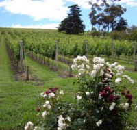 Pembroke Estate Vineyard - Accommodation Directory