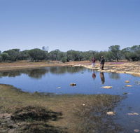 Camel Soak - Accommodation Directory