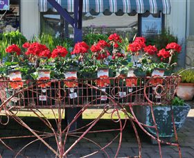 Van Loon's Nursery - Accommodation Directory 0