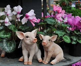 Van Loon's Nursery - Accommodation Directory 2