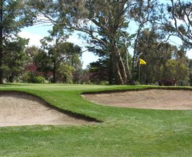 Bathurst Golf Club - Accommodation Directory 1