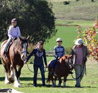 Bathurst Farm Experience - Accommodation Directory