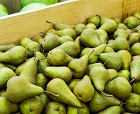 Dandenong Market - Accommodation Directory 1