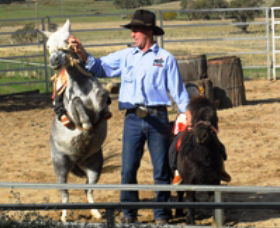 Boggy Creek Shows - Accommodation Directory 2