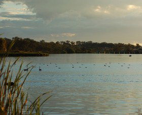 Lake Inverell Reserve - Accommodation Directory 0