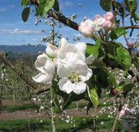 Mouat's Farm - Accommodation Directory