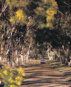 Albert Facey Heritage Trail - Accommodation Directory 0