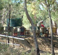 7 Oaks Sapphire Fossicking - Accommodation Directory