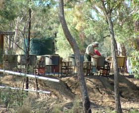 7 Oaks Sapphire Fossicking - Accommodation Directory 0