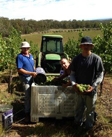 Toppers Mountain Wines - Accommodation Directory 2