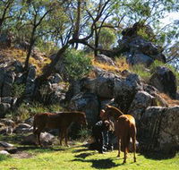 Coomba Falls - Accommodation Directory