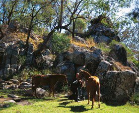 Coomba Falls - Accommodation Directory 0