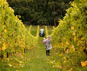 Polperro Winery - Accommodation Directory 7