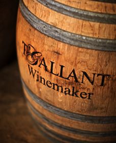 T'Gallant Winemakers - Accommodation Directory 0