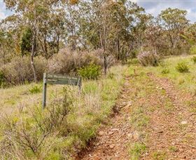 Old Mountain Road Walking Track - Accommodation Directory 0