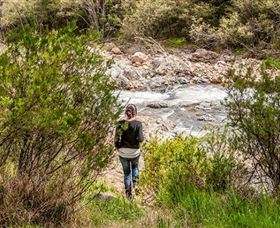 Old Mountain Road Walking Track - Accommodation Directory 1