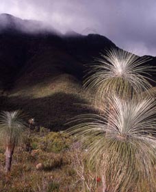 Bluff Knoll, Stirling Range National Park - Accommodation Directory 3