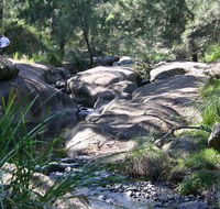 Towarri National Park - Accommodation Directory